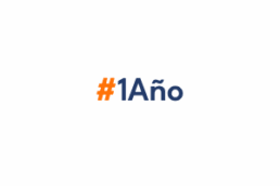 1 año