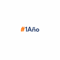 1 año