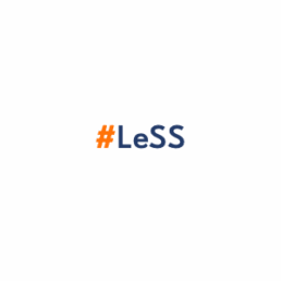 LeSS